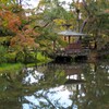 庭園の秋