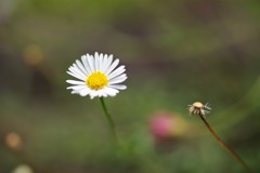 今と終わり