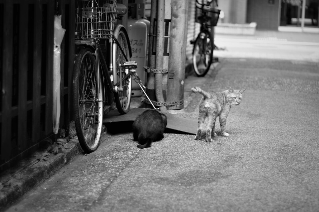 ひさしぶりに街に出てみた 8