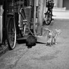 ひさしぶりに街に出てみた 8