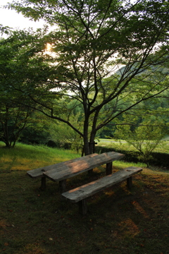 ベンチ