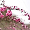 今年もありがとう