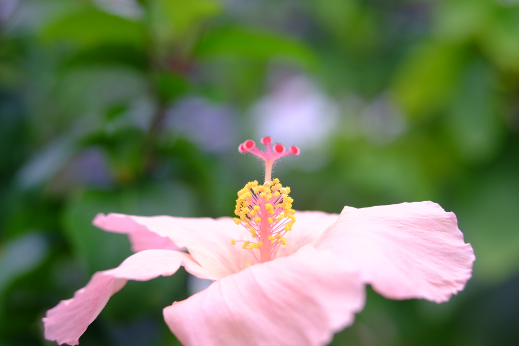 アンテナ
