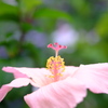 アンテナ