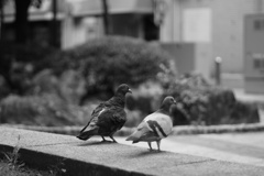 久しぶりに街に出てみた 2
