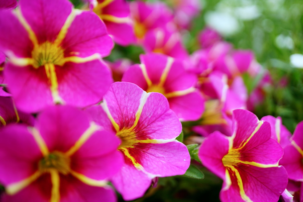 君たちかわゆいね～