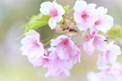 春日を浴びて