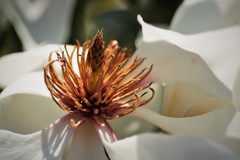 気持ちいい日差し