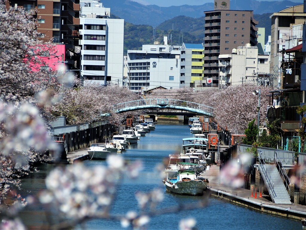 川のある風景