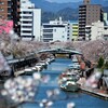 川のある風景
