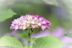もうすぐ雨
