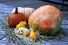 ハロウィン