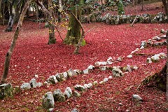 赤の絨毯
