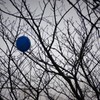 木にかかった青い風船