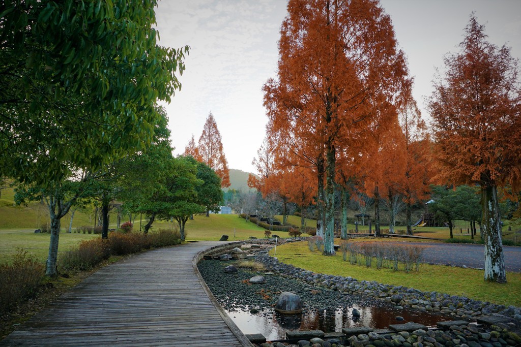 秋を感じる公園