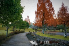 秋を感じる公園