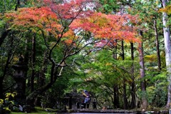 お寺参り