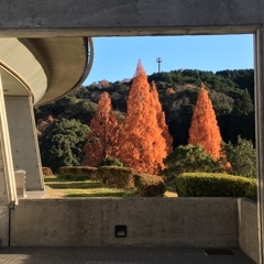 秋を感じる公園 2
