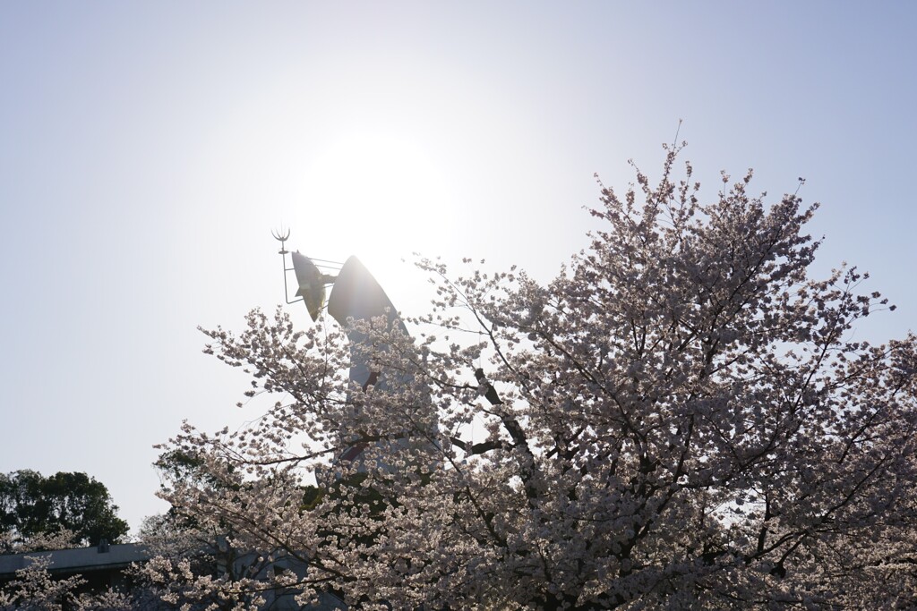 太陽の塔