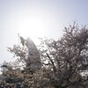 太陽の塔
