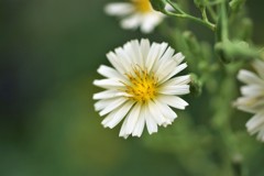 ちょっとお兄さん寄ってってよ