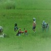 遊びたいけどちょっと怖い