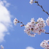 青い春