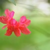 風に身を任せ