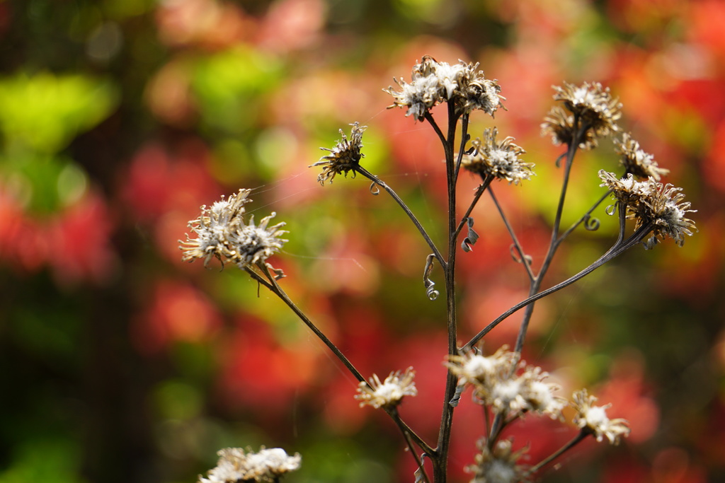 終わりそして始まり