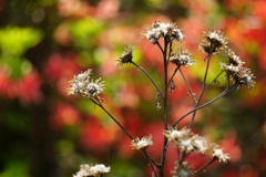 終わりそして始まり