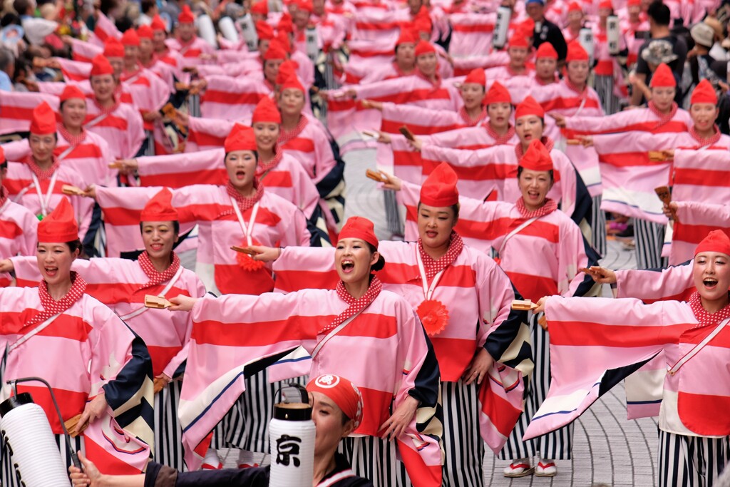 2019よさこい祭りの踊り子たち ８