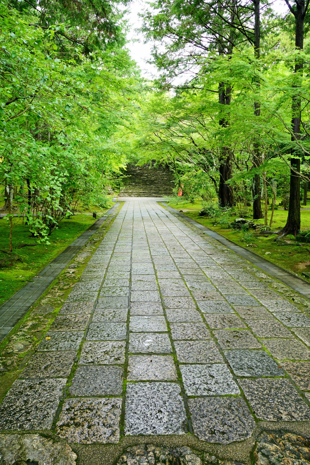 雨上がりの石畳