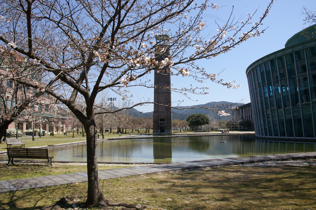 学び舎