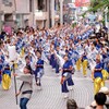 2019よさこい祭りの踊り子たち ６