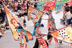 2019よさこい祭りの踊り子たち 10