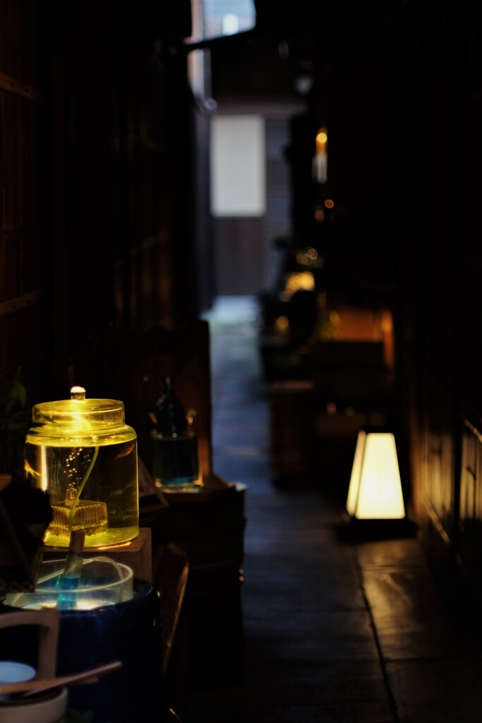 京都　先斗町③
