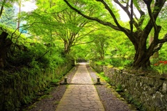 国東半島〜両子寺