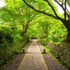 国東半島〜両子寺