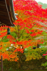 紅葉の南禅寺