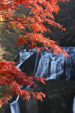 紅葉と滝