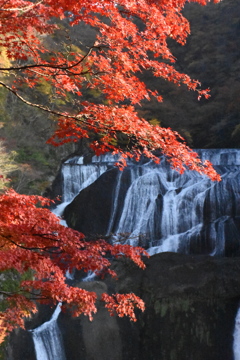 紅葉と滝