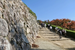 秋の備中松山城