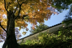 秋の備中松山城