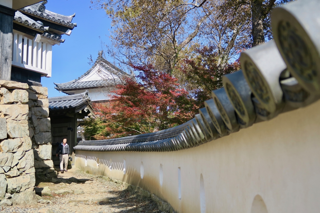 秋の備中松山城