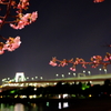 河津桜とレインボーブリッジ
