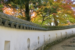 秋の備中松山城