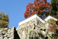 秋の備中松山城