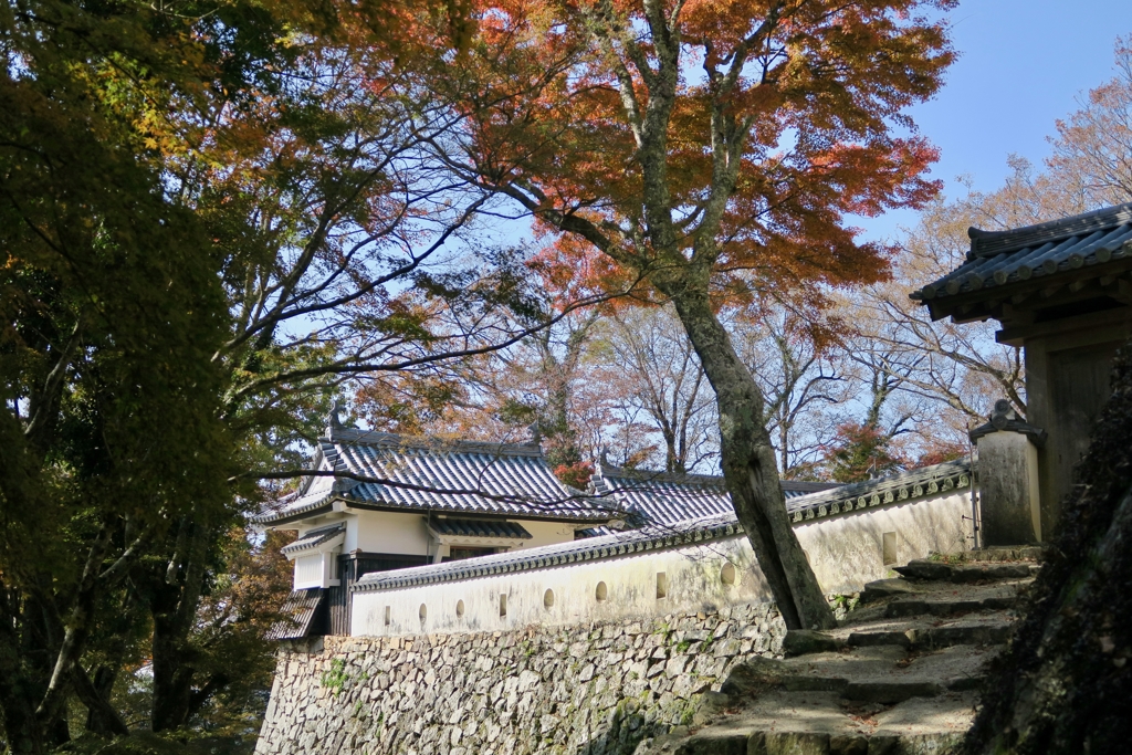 秋の備中松山城