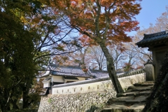秋の備中松山城