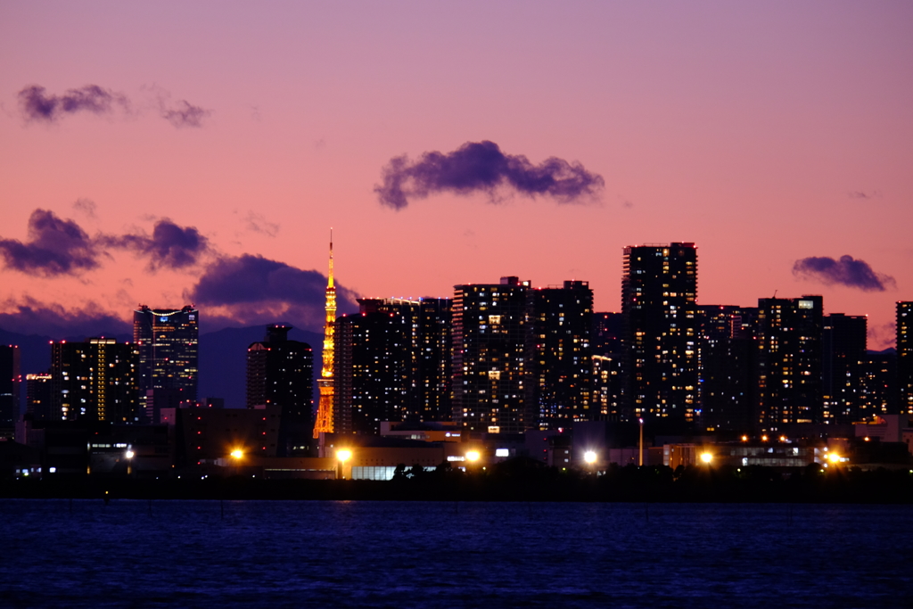 東京湾岸の夕景